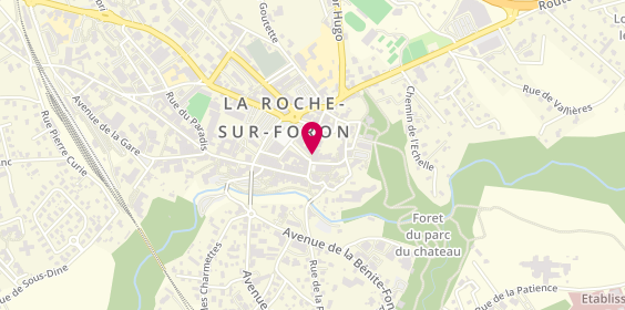 Plan de Flammier Chaussures, 10 Rue de Silence, 74800 La Roche-sur-Foron